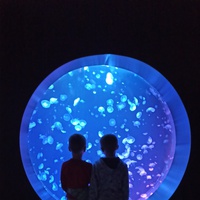 Svět medúz